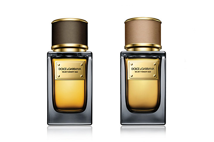 dolce and gabbana desert velvet oud