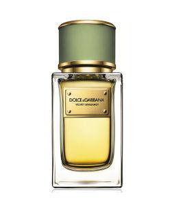 Dolce&Gabbana Velvet Bergamot