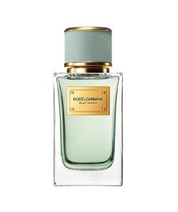 Dolce&Gabbana Velvet Infusion