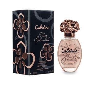 Gres Cabotine Fleur Splendide