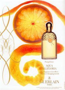 Guerlain Aqua Allegoria Pamplelune