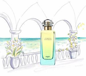 Hermes Un Jardin En Mediterranee