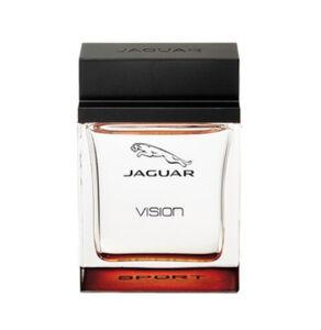 Jaguar Vision Sport