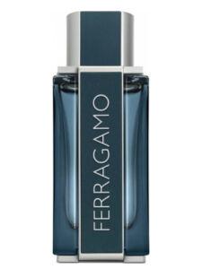 Salvatore Ferragamo Intense Leather