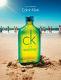 Calvin Klein CK One Summer 2014