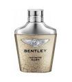 Bentley Infinite Rush