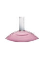 Calvin Klein Euphoria Eau de Toilette (2023)