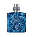 Cerruti 1881 Silver Night