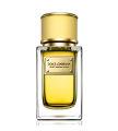 Dolce&Gabbana Velvet Mimosa Bloom