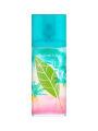 Elizabeth Arden Green Tea Coconut Breeze