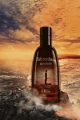 Dior Fahrenheit Absolute