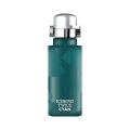 Iceberg Twice Cyan