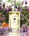 Jo Malone Amber & Lavender