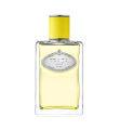 Prada Infusion d'Ylang